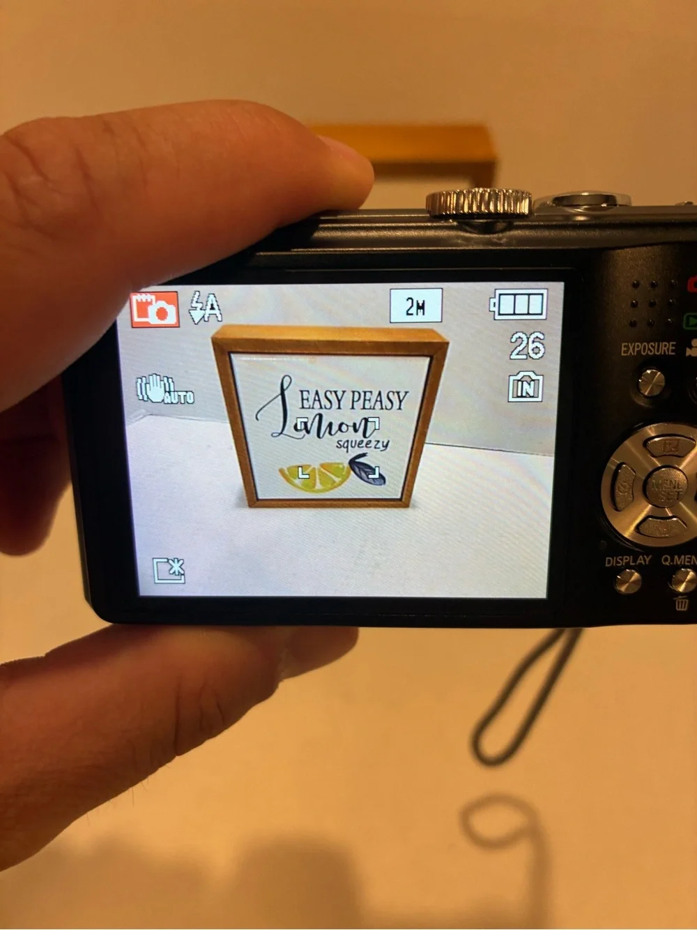 Panasonic lumix dmc